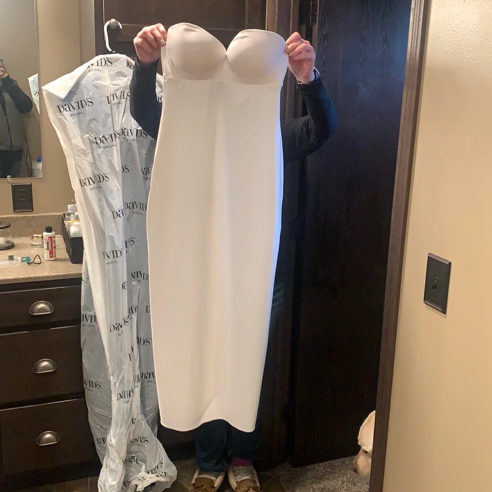 Strapless Bra undergarment